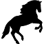 careforbd.com
