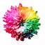 colorflowers.ru
