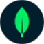 docs.mongodb.org