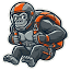 ***gorilla.com