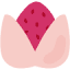 mochimommy.com