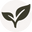 rowecasaorganics.com