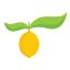 yellowblissroad.com