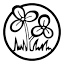 aitmc.org