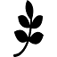 alpha19.com