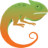 chameleonpower.com