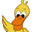 designingducks.com