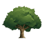 evergreens.com.ua