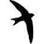 followthebirds.com