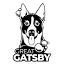 greatgatsbyautospa.com