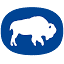 gselectric.com