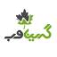 karafarinan.com