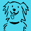 petflow.com