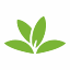 plantnet.org
