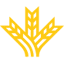 segurosrga.es