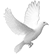 stphilorg.org