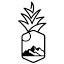 thepineapplebackpacker.com