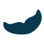 whalesinparadise.com.au
