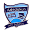 adedokuninternationalschools.com