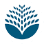 bluleaf.it