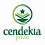 cendekiaprivat.com