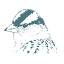 cleybirdclub.org.uk