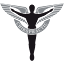 mayvillechiropractor.com