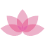 mollymaid.com