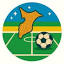 nadefootball12.com