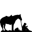 pharocattle.com