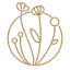 root-rise.co
