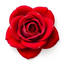 rosesthatlastayear.com