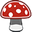shroomkingdom.co