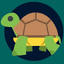tortoiseshack.ie