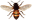 911bee.com