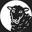 blacksheepadventures.com