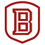 bradleybraves.com