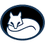 drfoxchiro.com