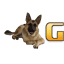 gatorlandk9.com