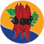 nativetitlesa.org