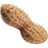 peanutbase.org