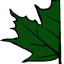 solidedgewood.ca