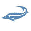 sturgeonbay.net