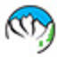 vaillibrary.com