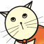 wondercatrescue.org