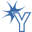 yla-youthleadership.org