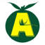 aceohlsson.com.au