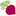 bdegummy.com