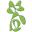 cactustaqueria.com