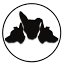 cerberusdigitalmedia.com